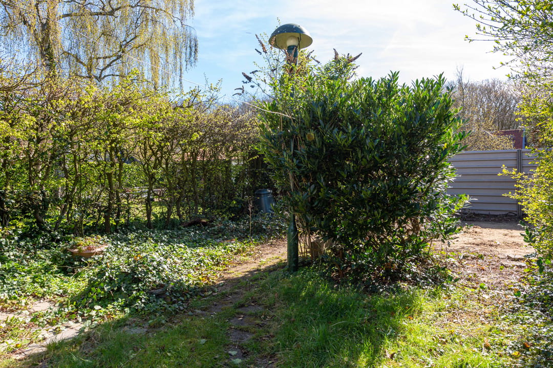 Photo 26 of Holleweg 68