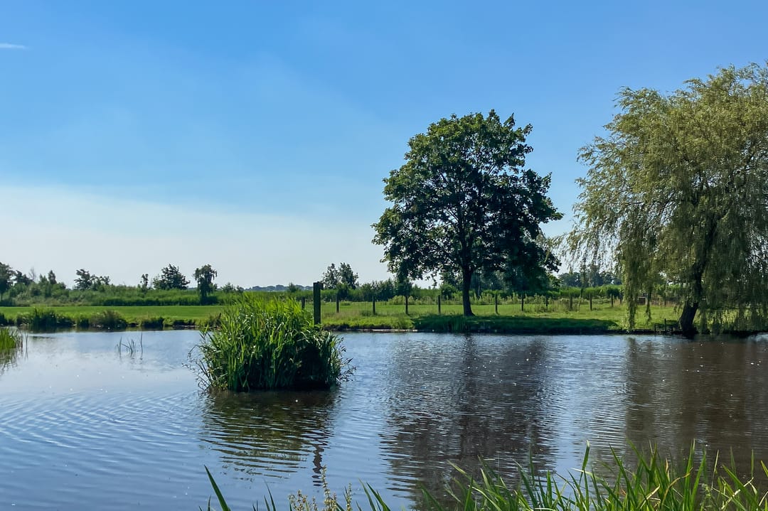 Photo 13 of Ter Aase Zuwe