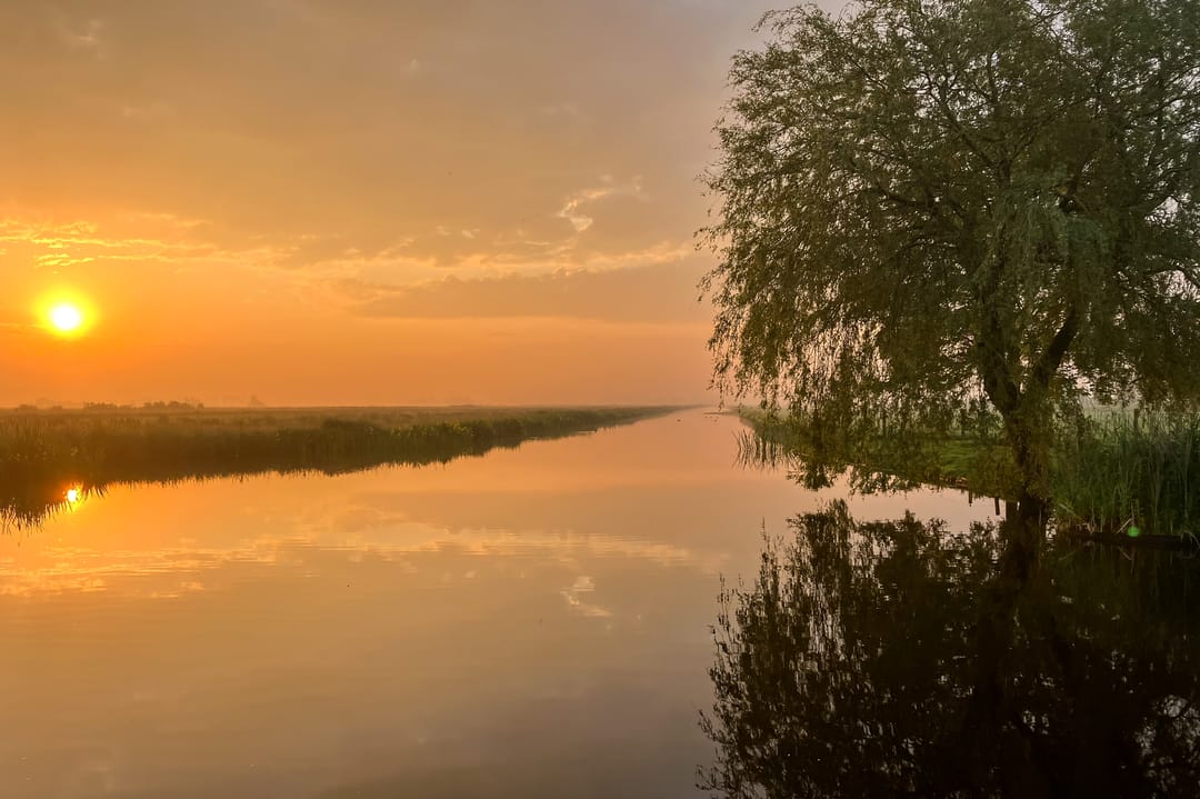 Photo 17 of Ter Aase Zuwe