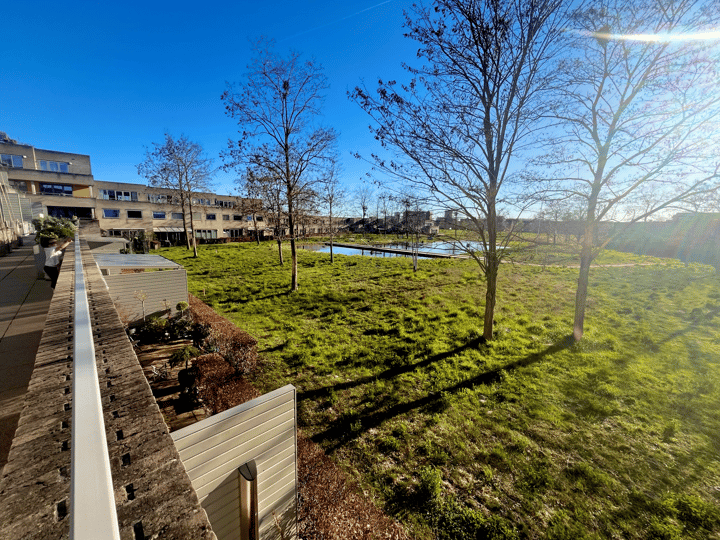 Foto 2 van Odinstraat 14