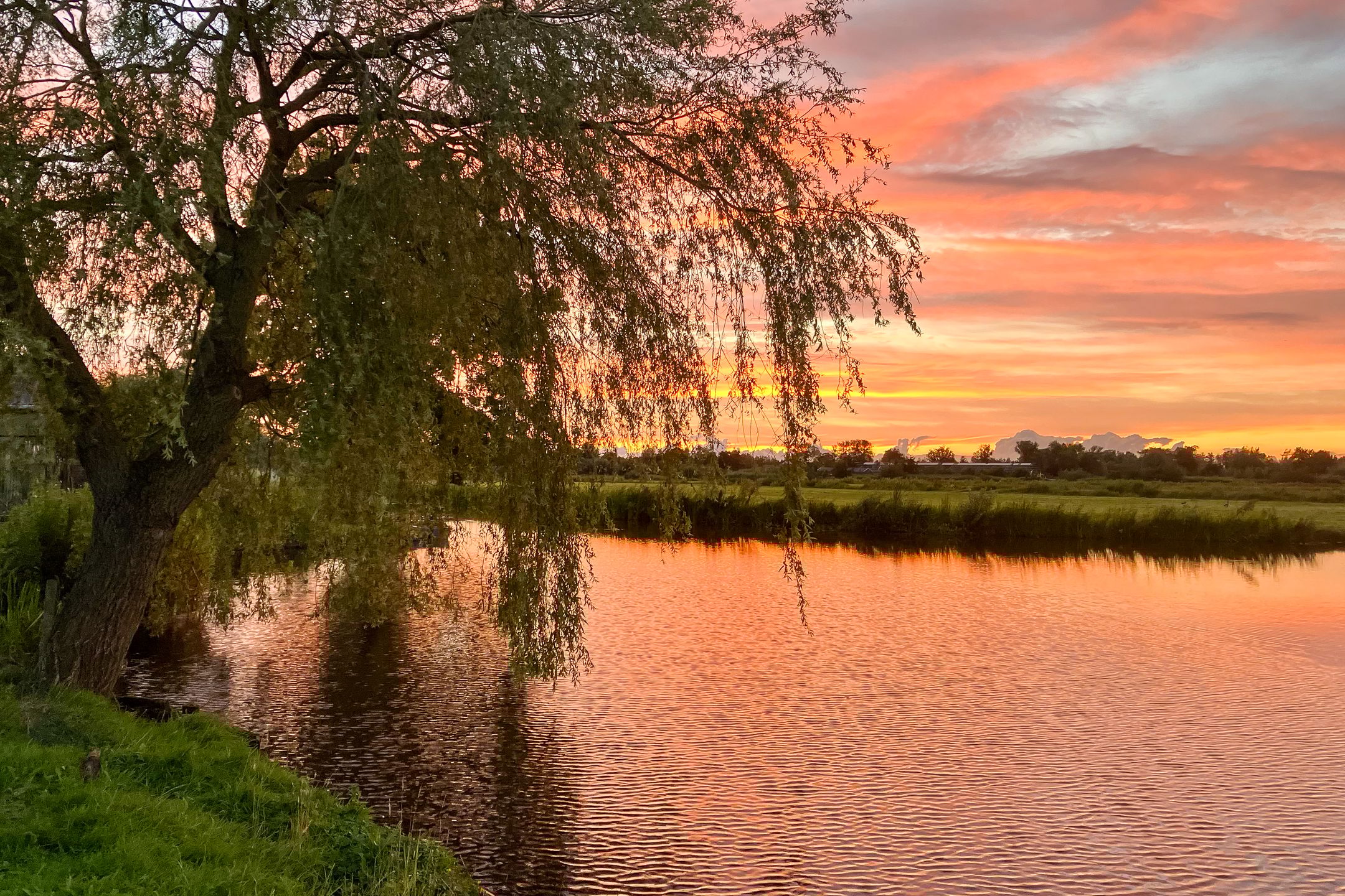 Photo 15 of Ter Aase Zuwe