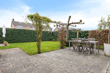 Scheen 33 tertiary image