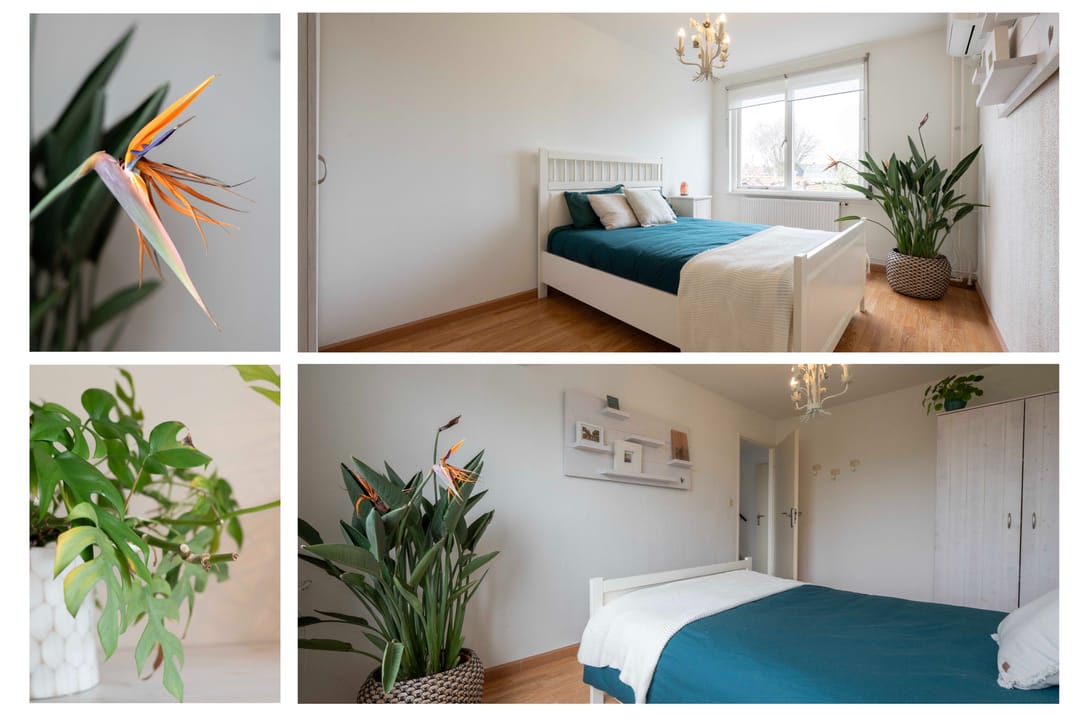 Charming semi-detached family home on quiet erf in Hoeven — 26