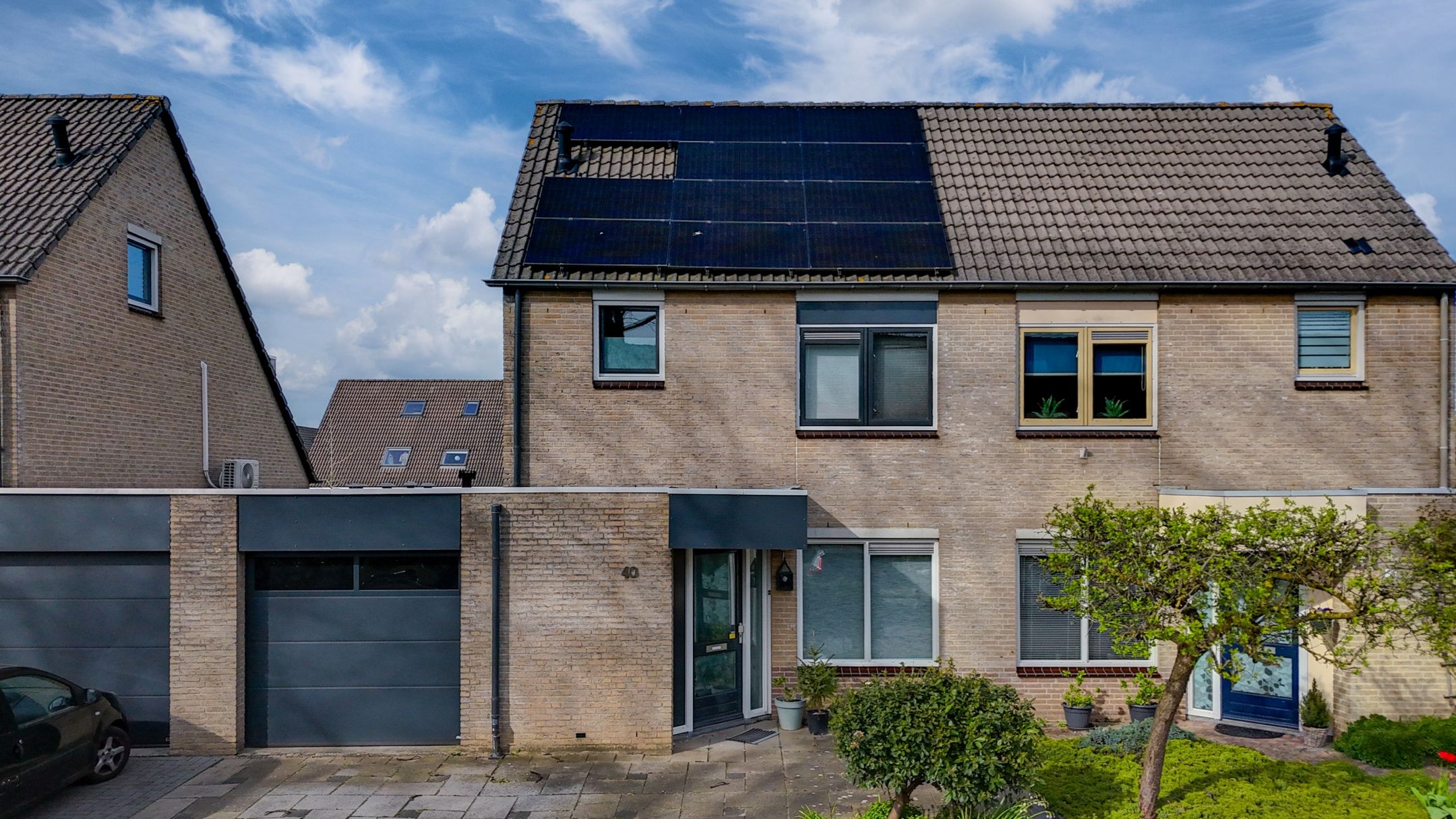 Photo 6 of Golden Delicious 40