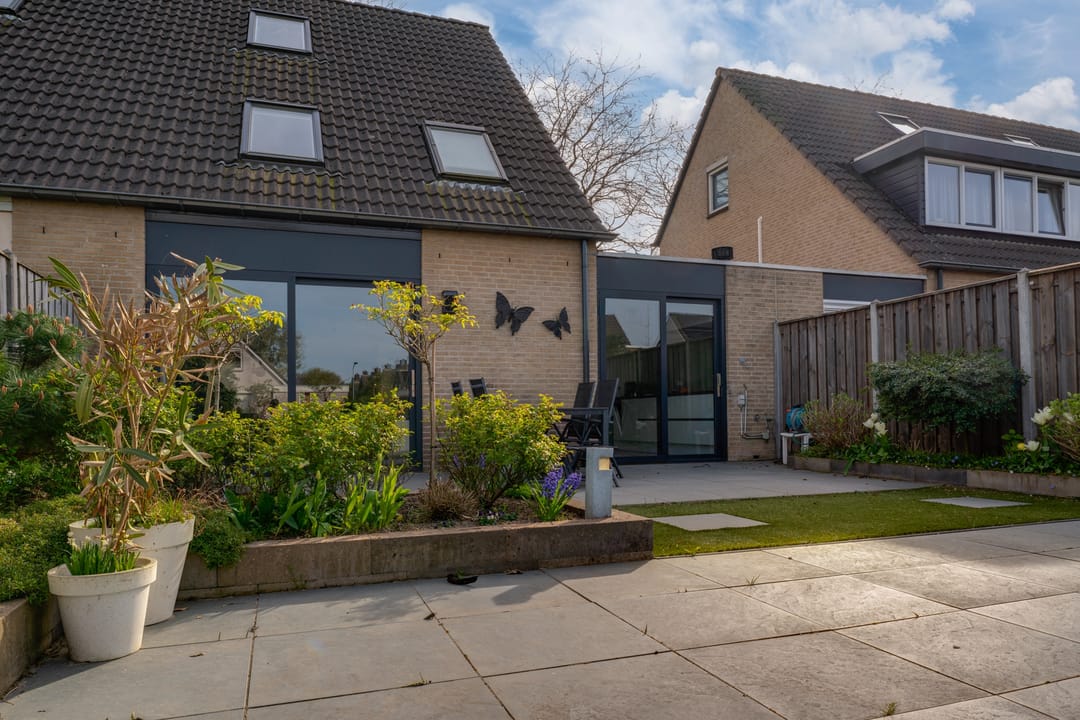 Photo 2 of Golden Delicious 40