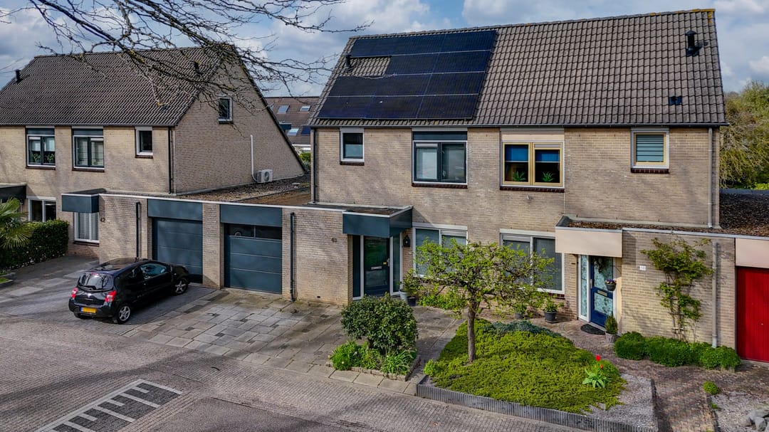 Photo 1 of Golden Delicious 40