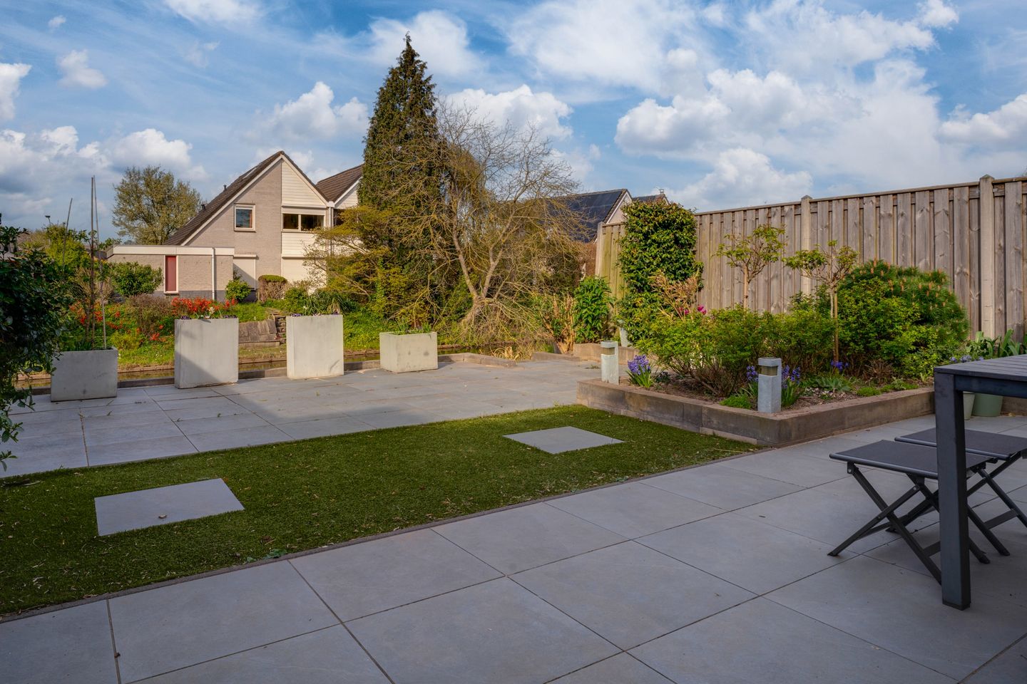 Photo 4 of Golden Delicious 40