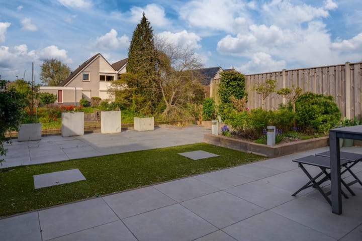 Photo 4 of Golden Delicious 40