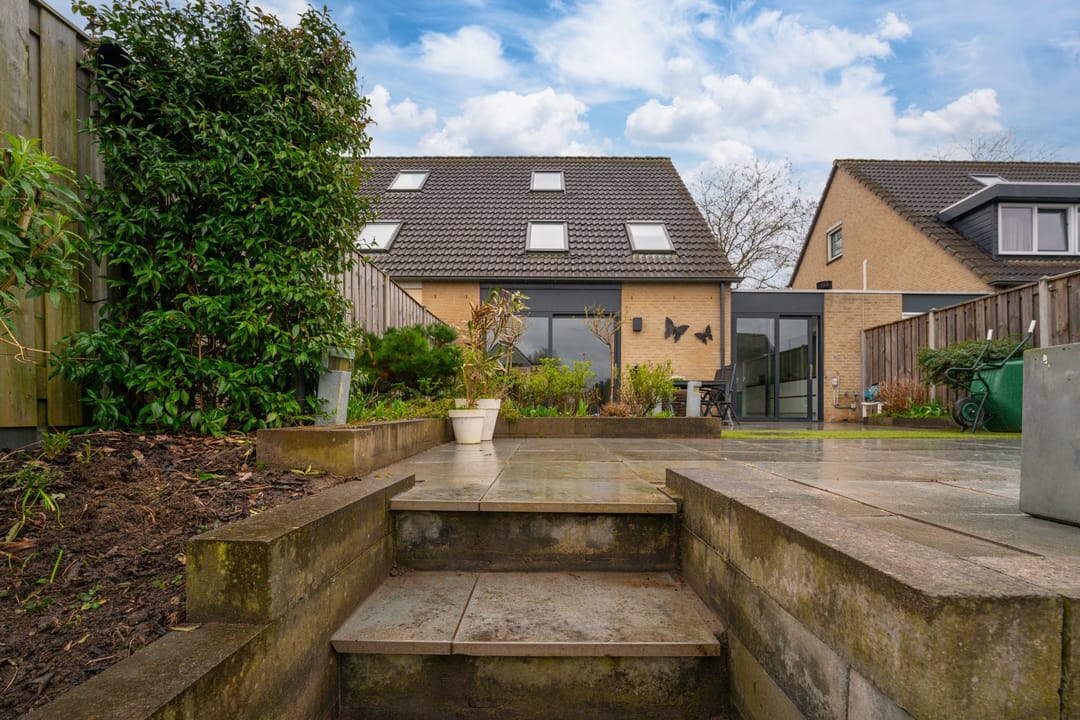 Photo 22 of Golden Delicious 40