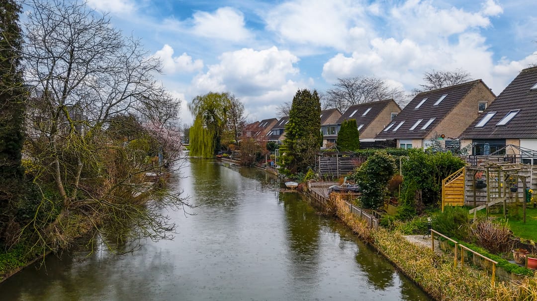 Photo 23 of Golden Delicious 40