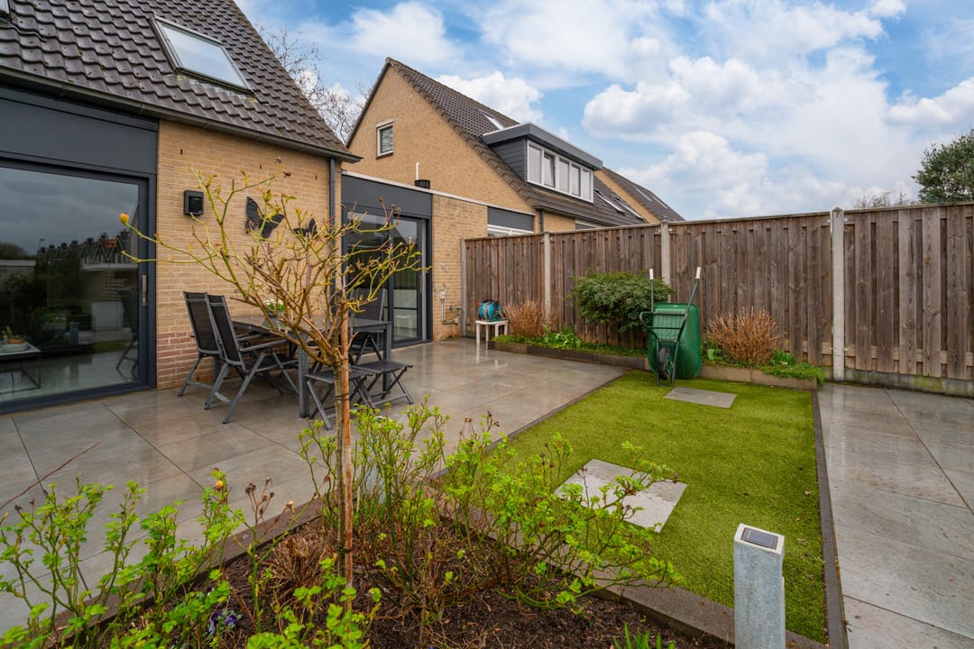 Photo 28 of Golden Delicious 40