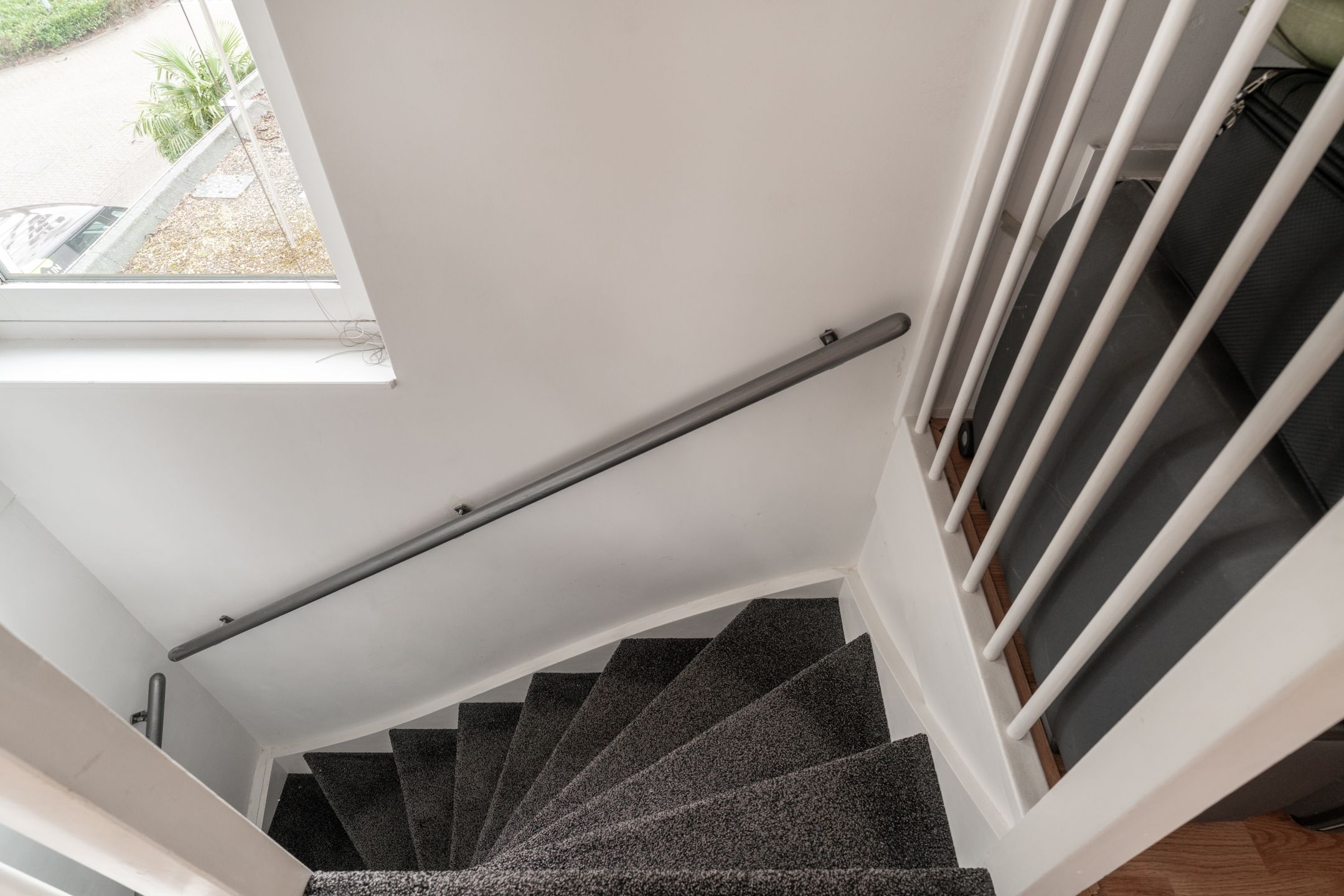 Photo 39 of Golden Delicious 40