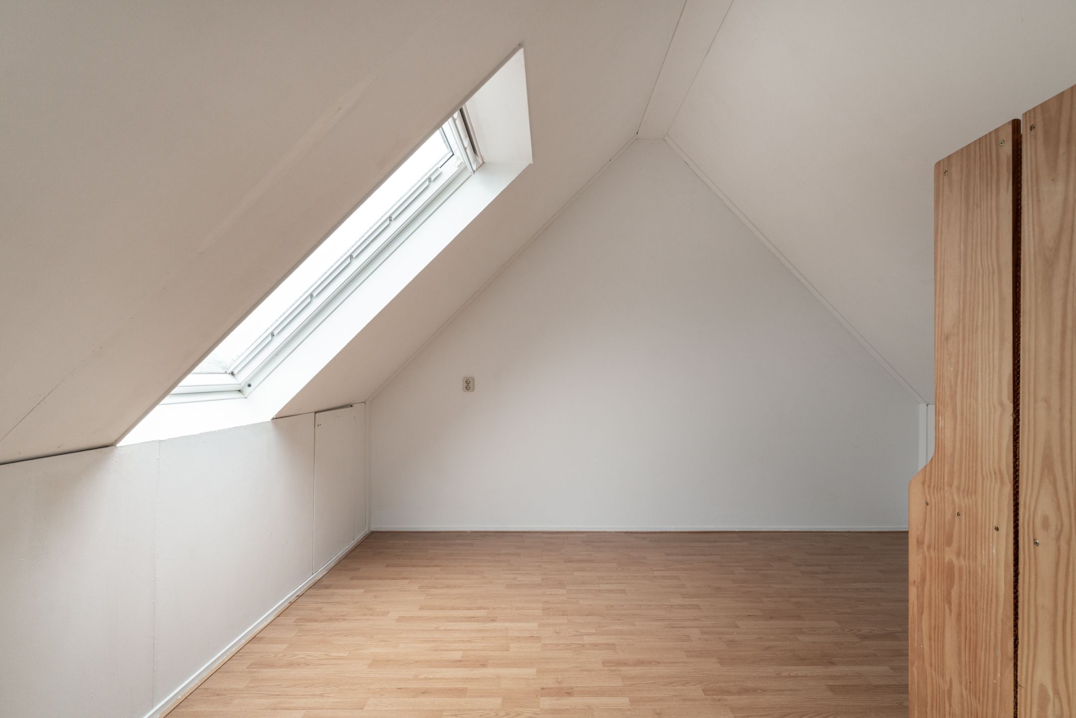 Photo 42 of Golden Delicious 40