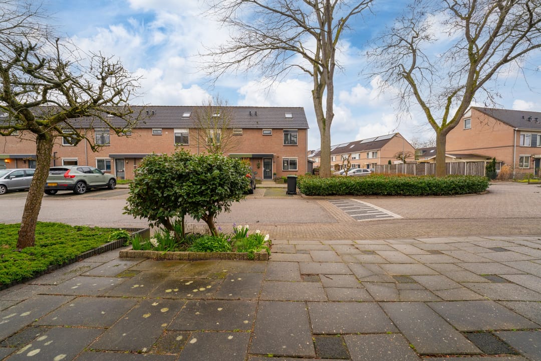 Photo 46 of Golden Delicious 40