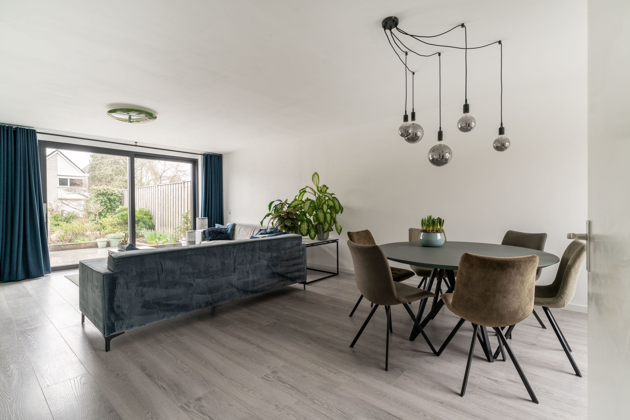 Photo 9 of Golden Delicious 40