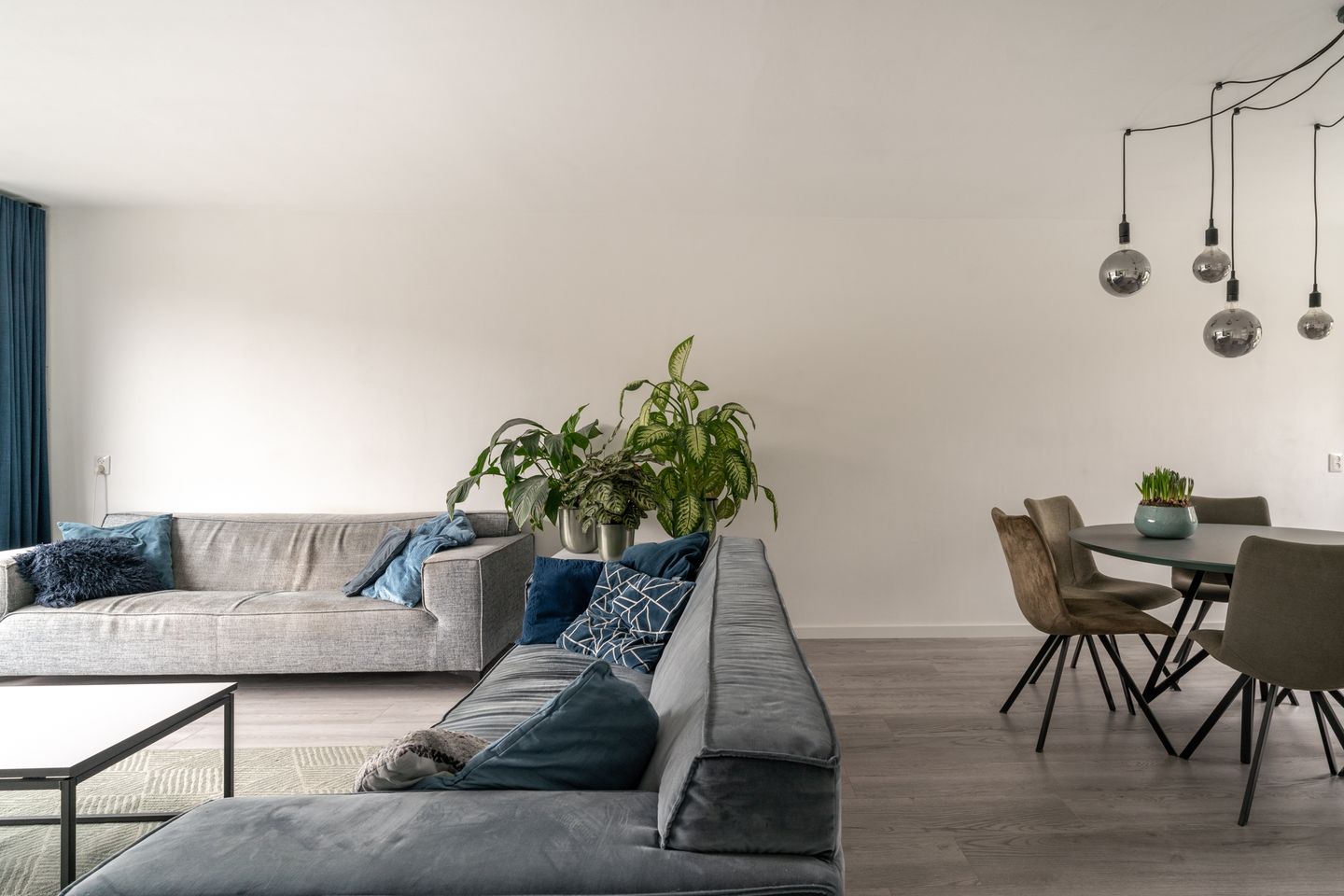 Photo 10 of Golden Delicious 40