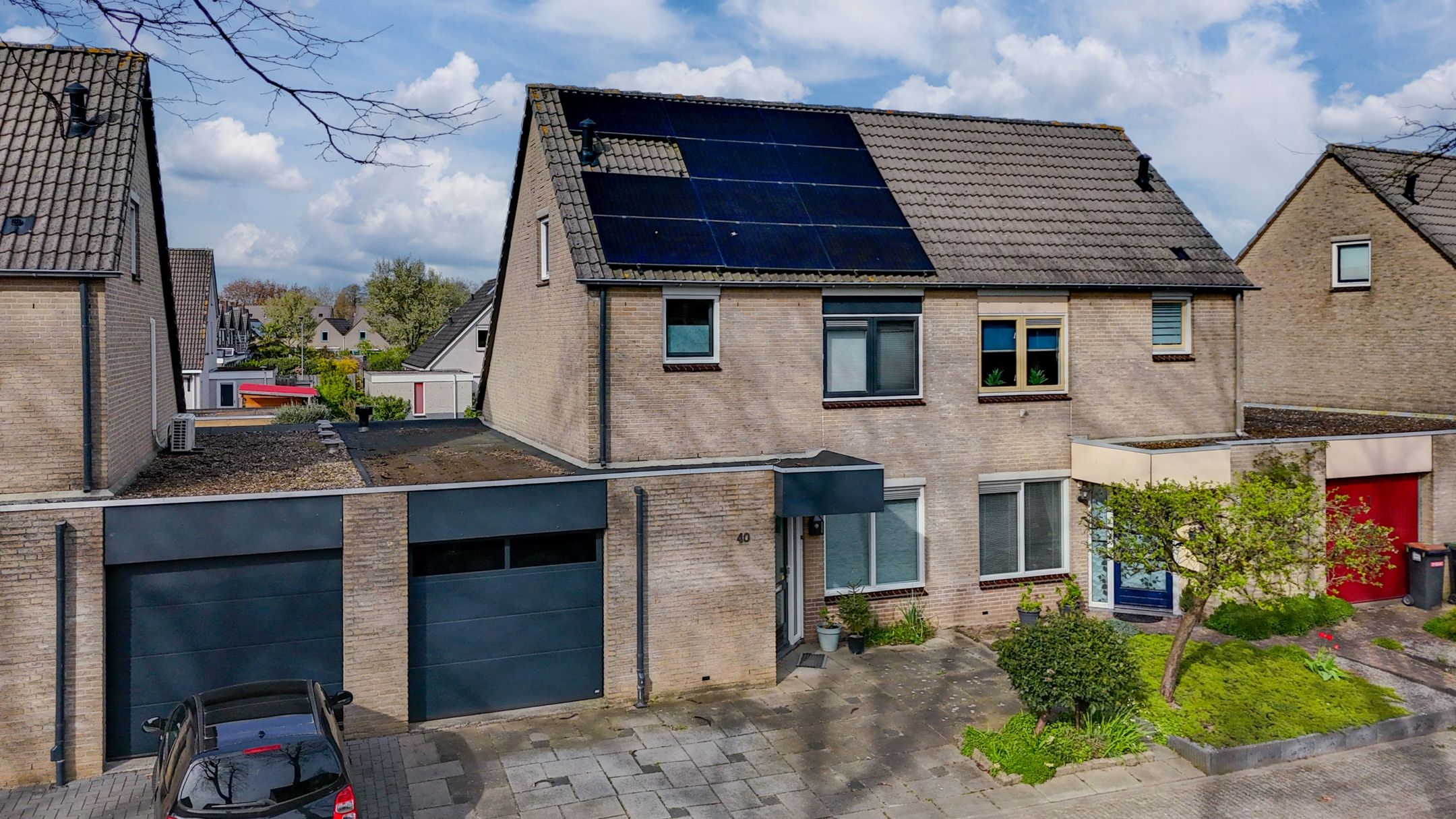 Photo 48 of Golden Delicious 40