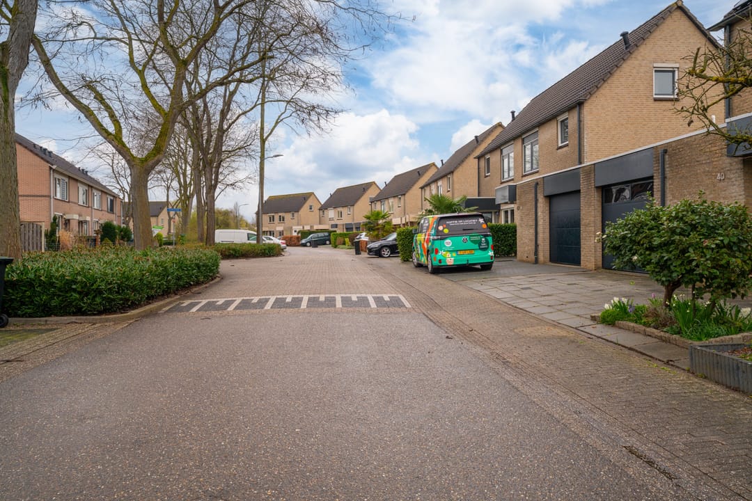 Photo 47 of Golden Delicious 40