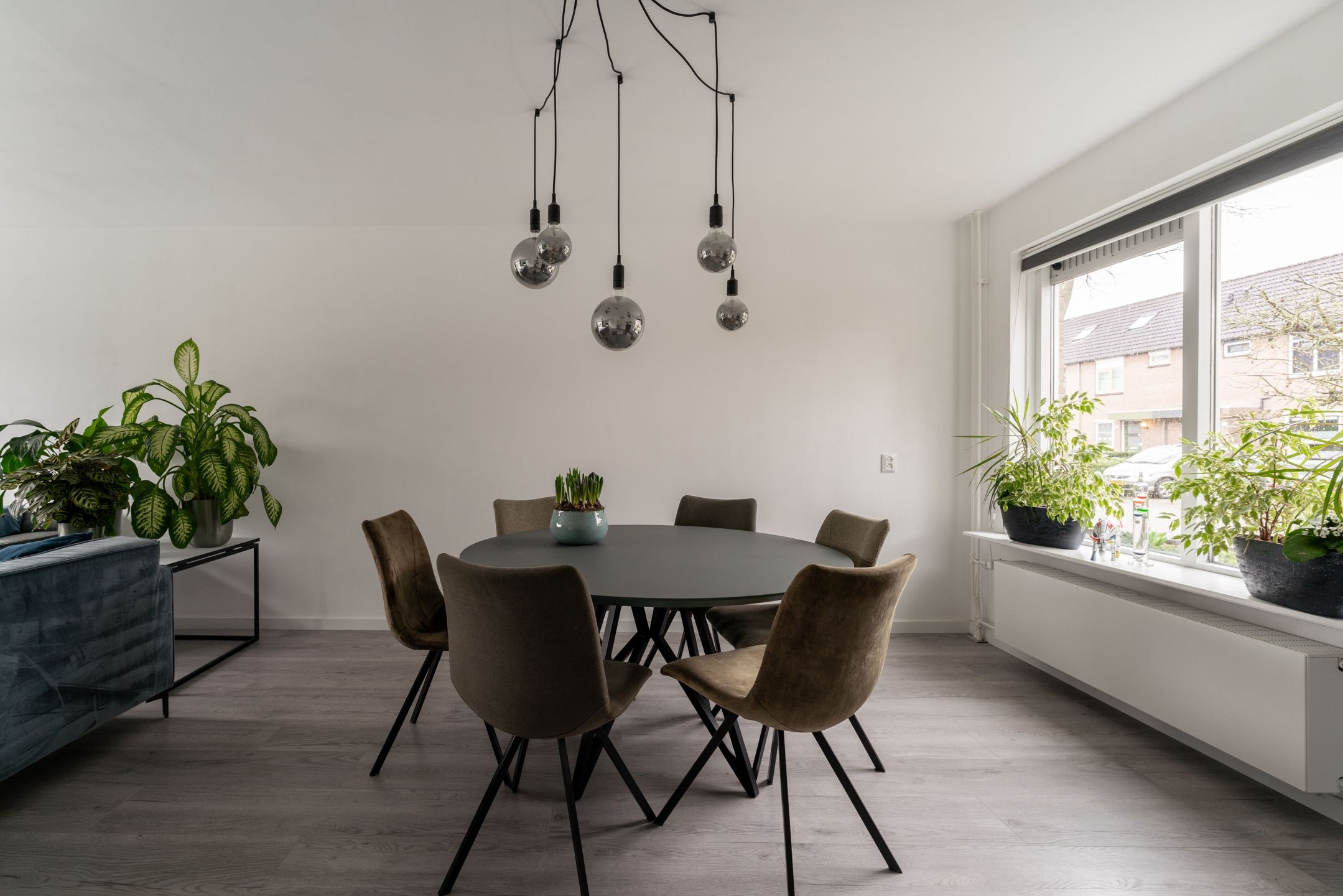 Photo 12 of Golden Delicious 40