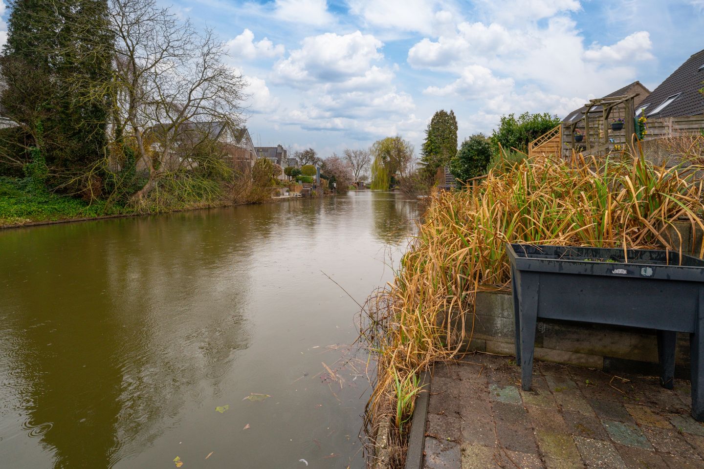 Photo 25 of Golden Delicious 40