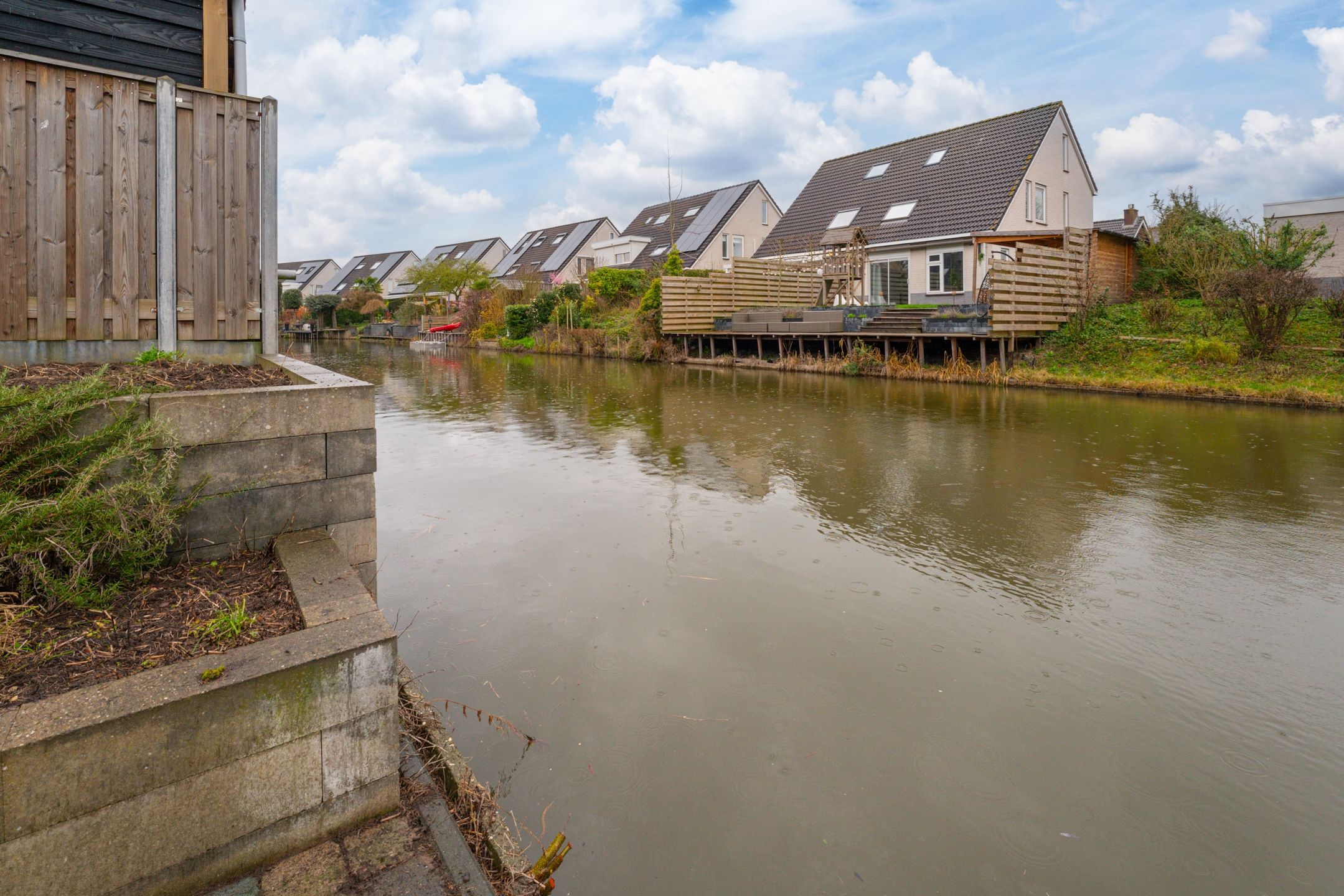 Photo 24 of Golden Delicious 40