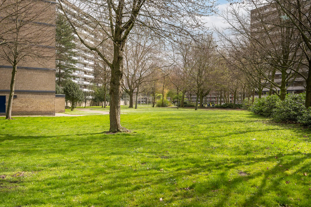 Charming 2-room apartment with sunny balcony in Schiedam Groenoord — 26