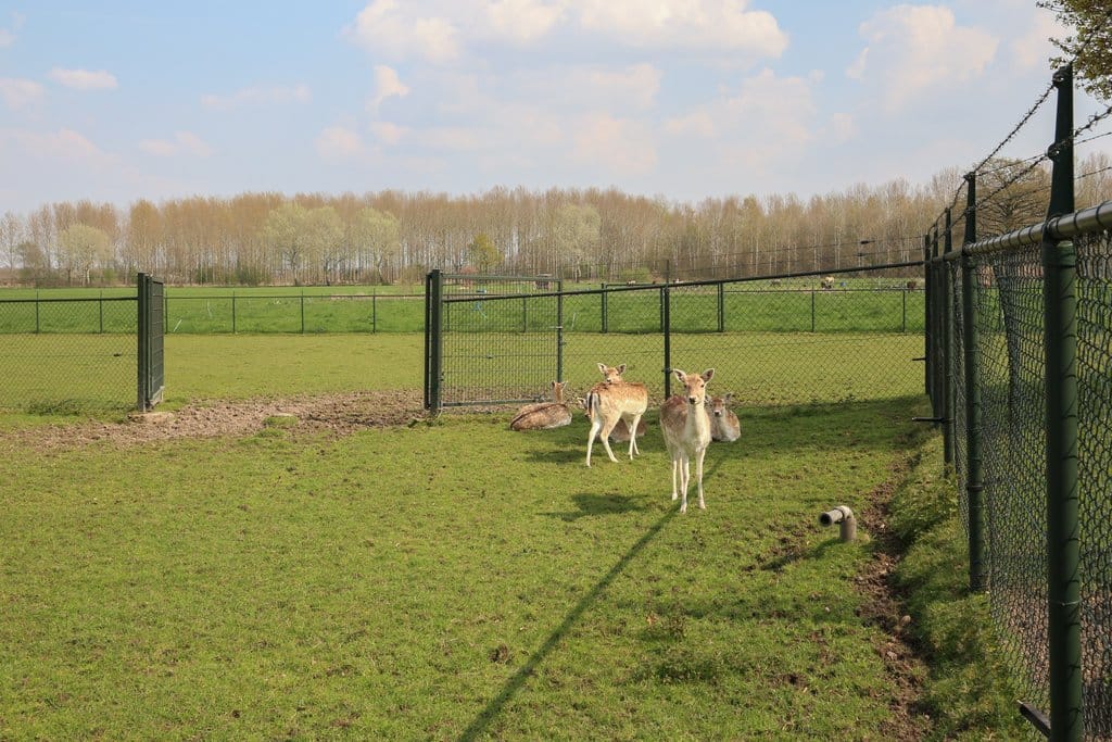 Foto 34 van Schoonenburgseweg 28