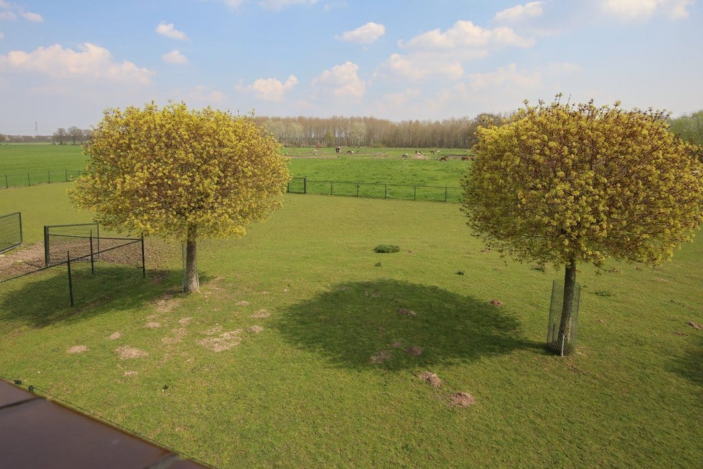 Foto 33 van Schoonenburgseweg 28