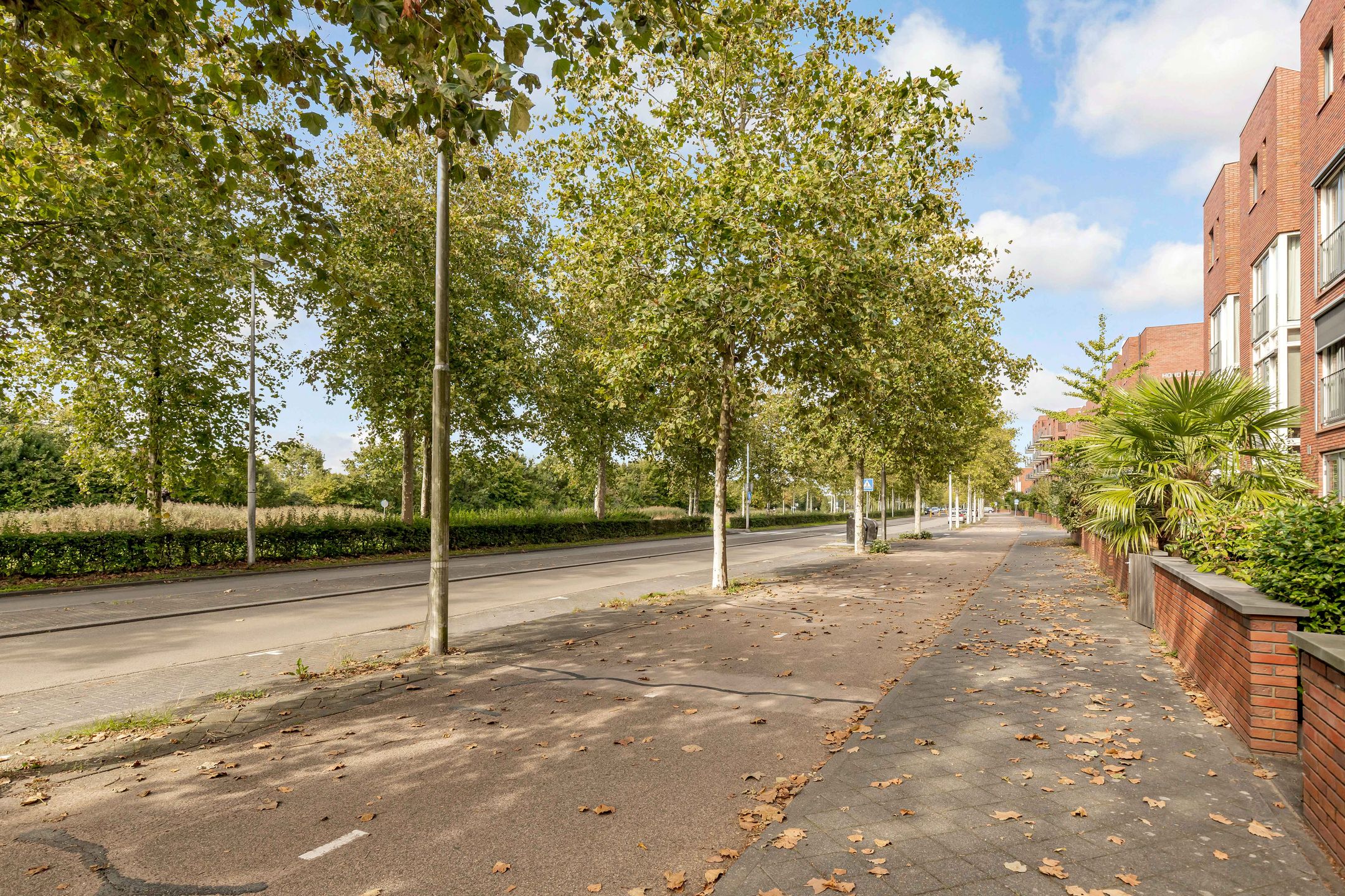 Foto 57 van Van Ravesteijnstraat 3