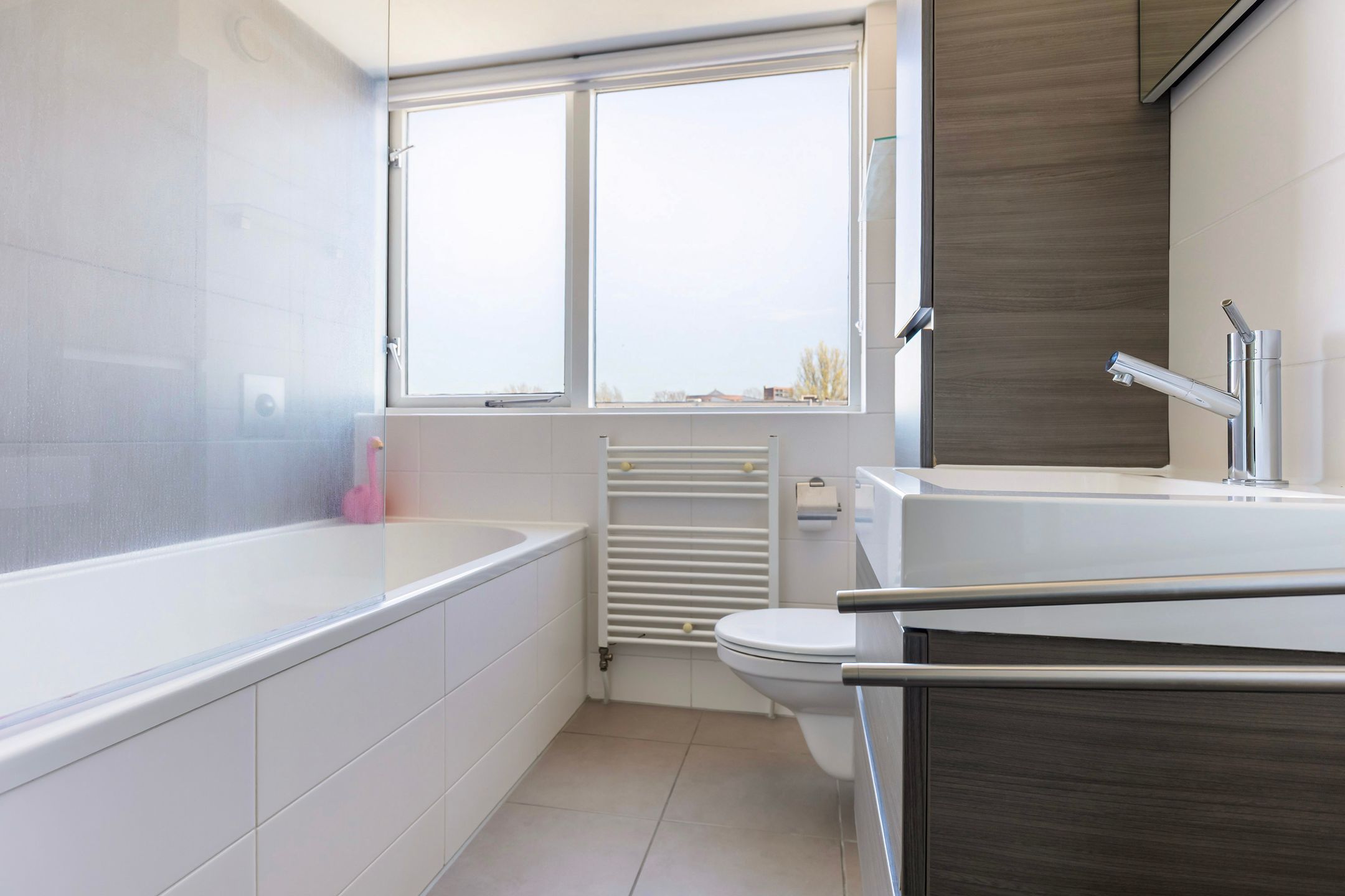 Foto 33 van Anna Bijnsring 54