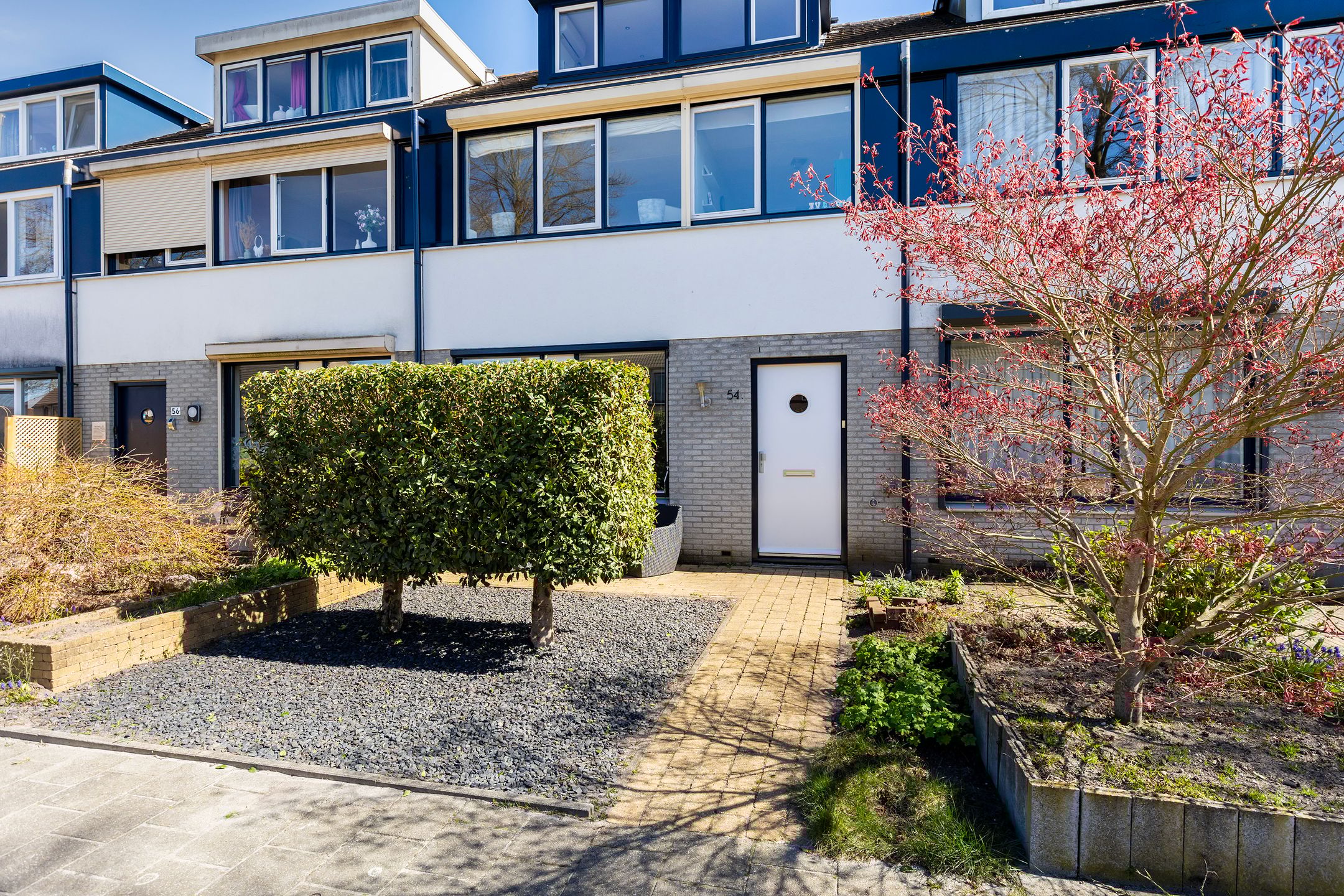 Foto 42 van Anna Bijnsring 54