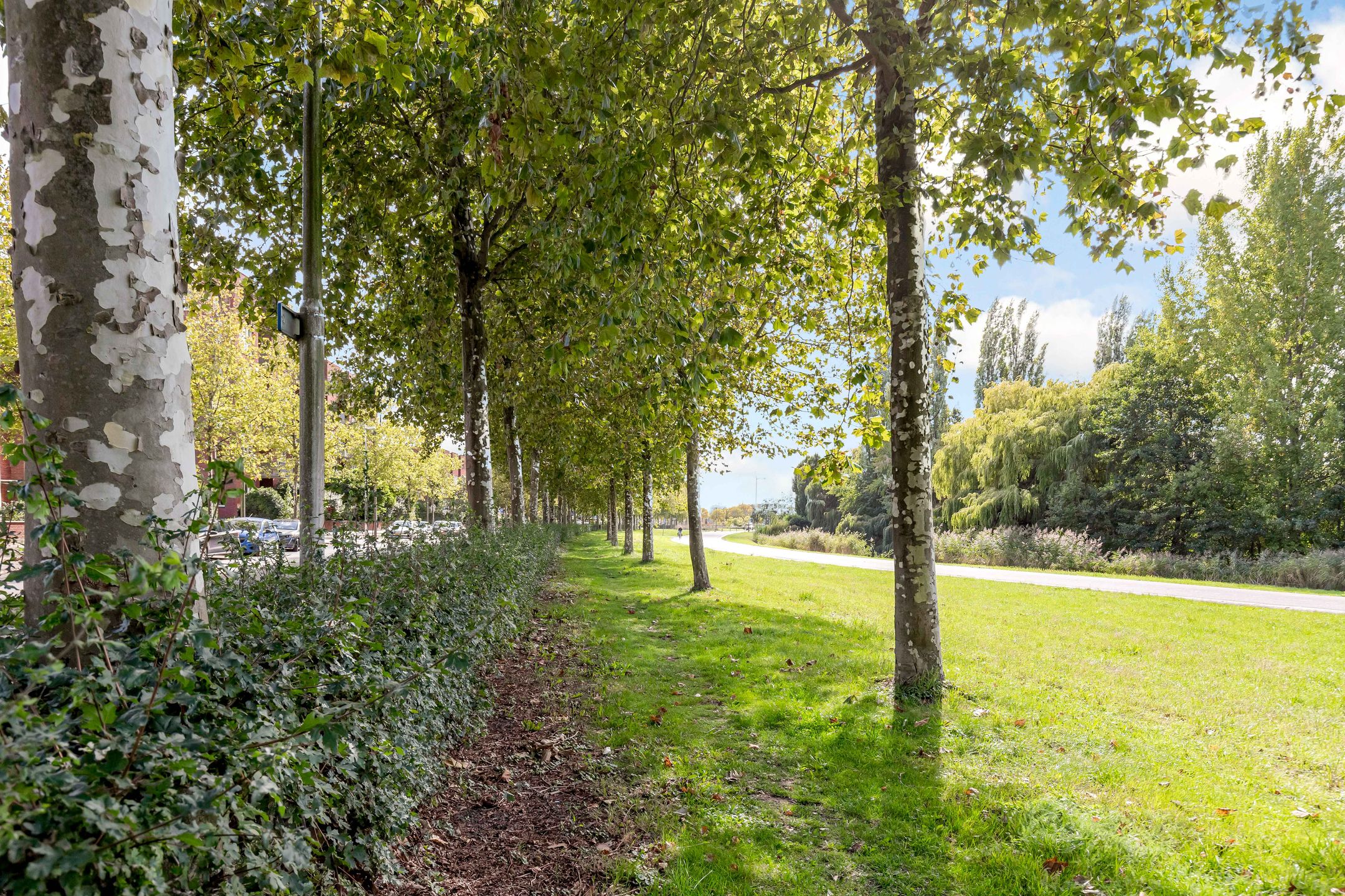 Foto 60 van Van Ravesteijnstraat 3