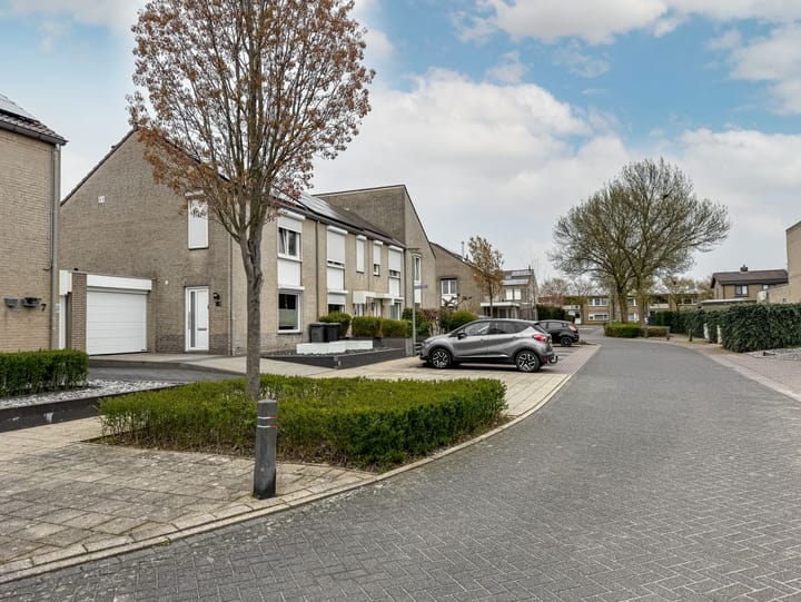 Foto 2 van Liguster 7