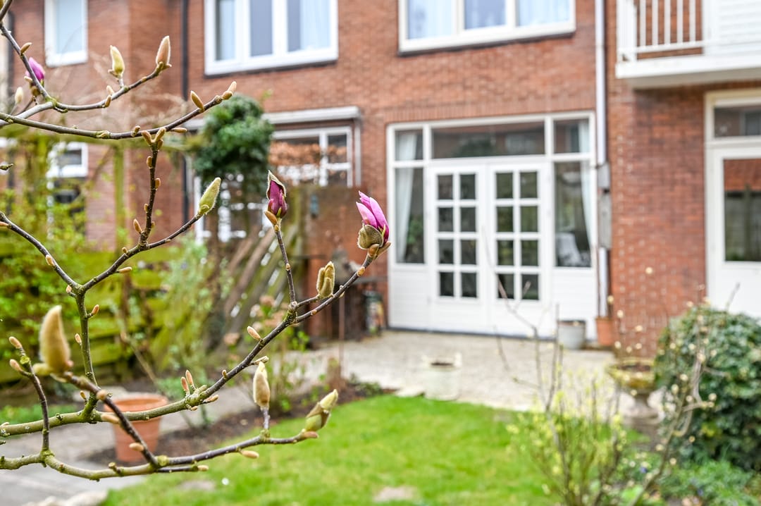 Foto 38 van Maasstraat 37