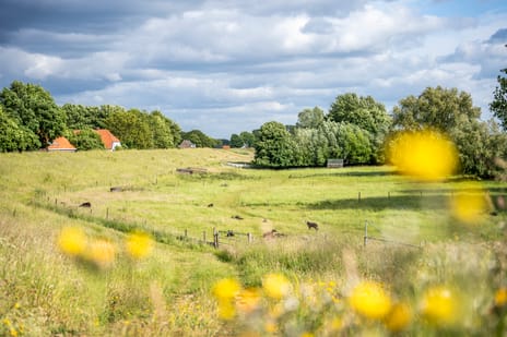 De Hul 2 secondary image