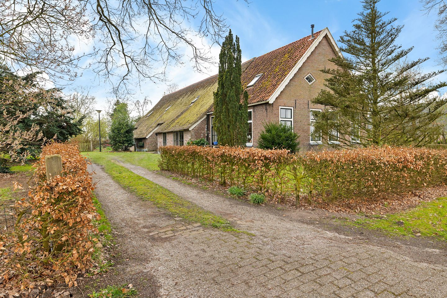 Foto 5 van Stroovledder 9