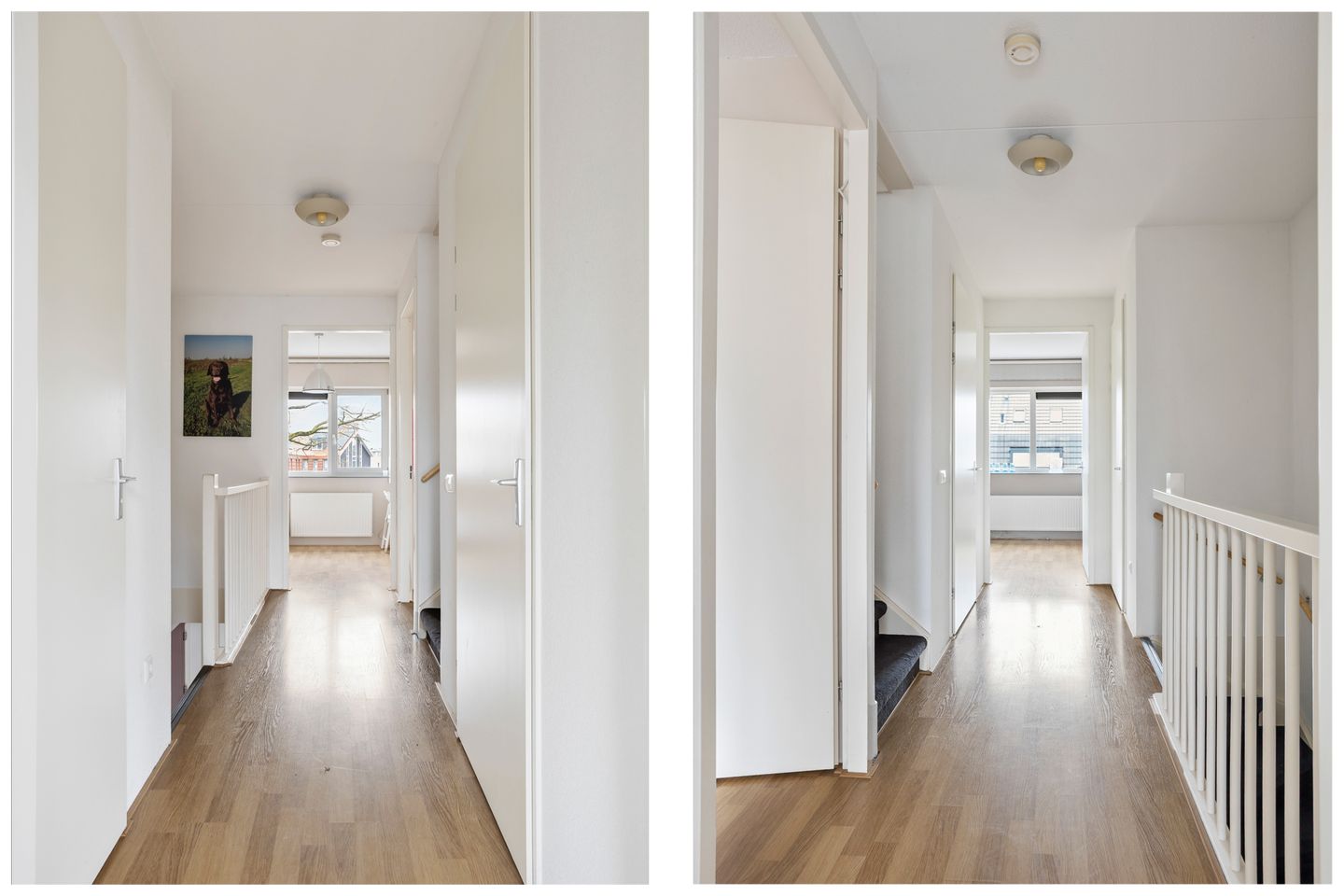 Foto 14 van Rijnstroom 12