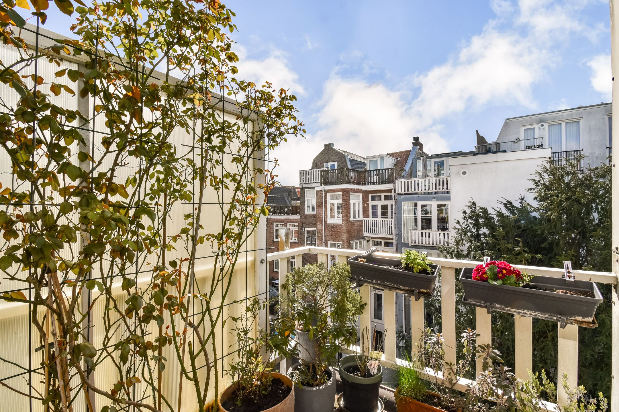 Egelantiersgracht 189-B Amsterdam - Meer