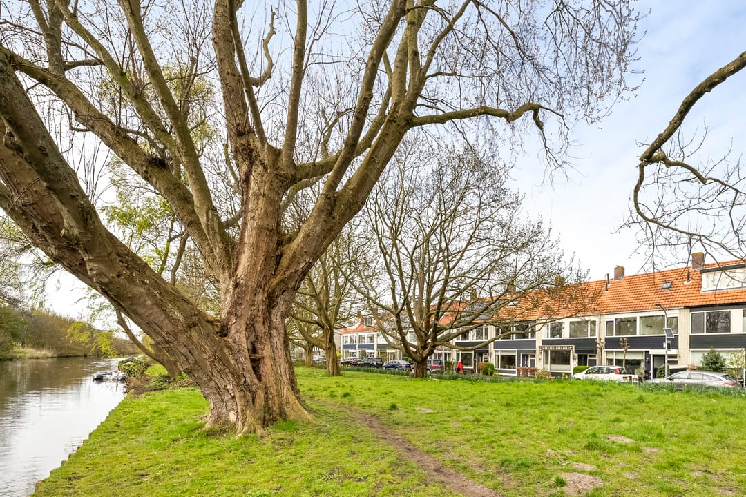 Foto 58 van Lodewijk van Deyssellaan 252