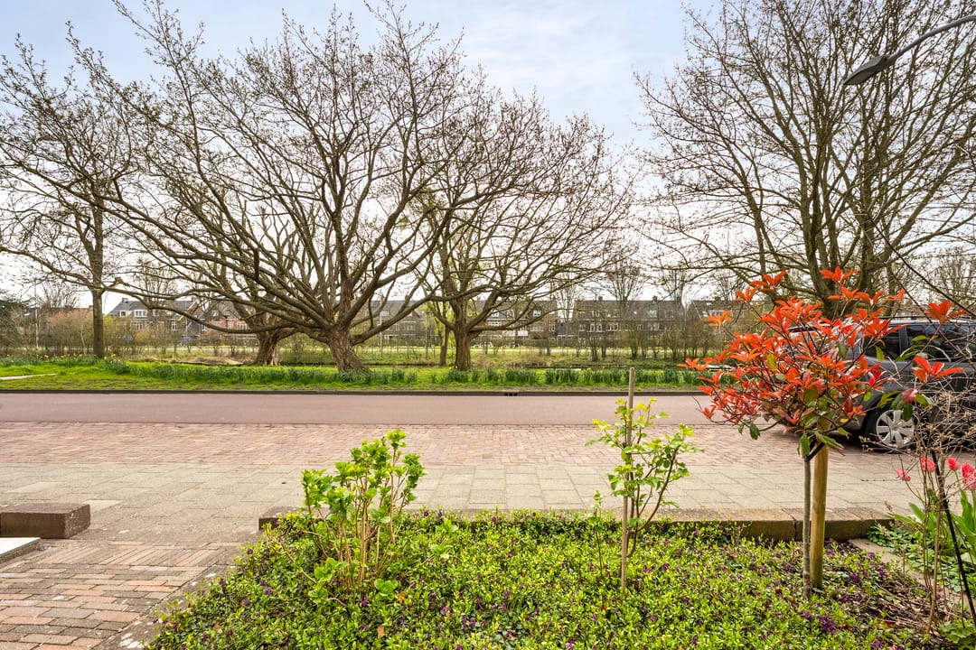 Foto 56 van Lodewijk van Deyssellaan 252