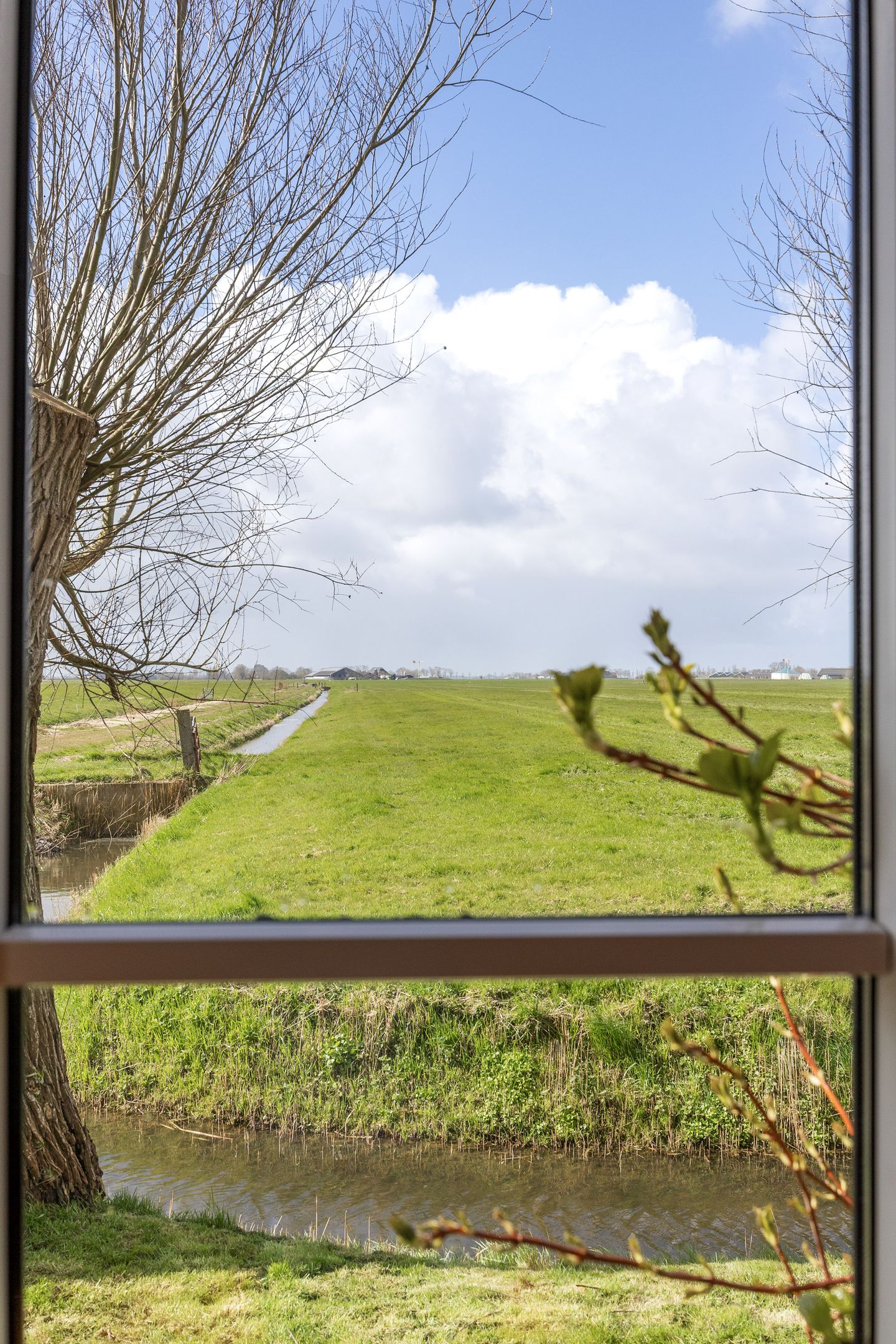 Foto 20 van Nieuwestreek 51