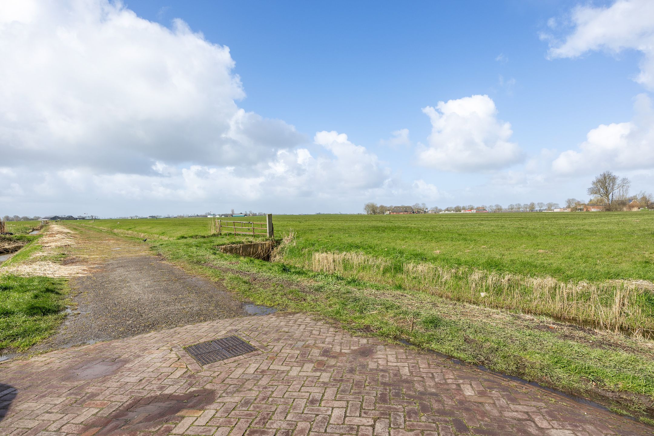 Foto 3 van Nieuwestreek 51