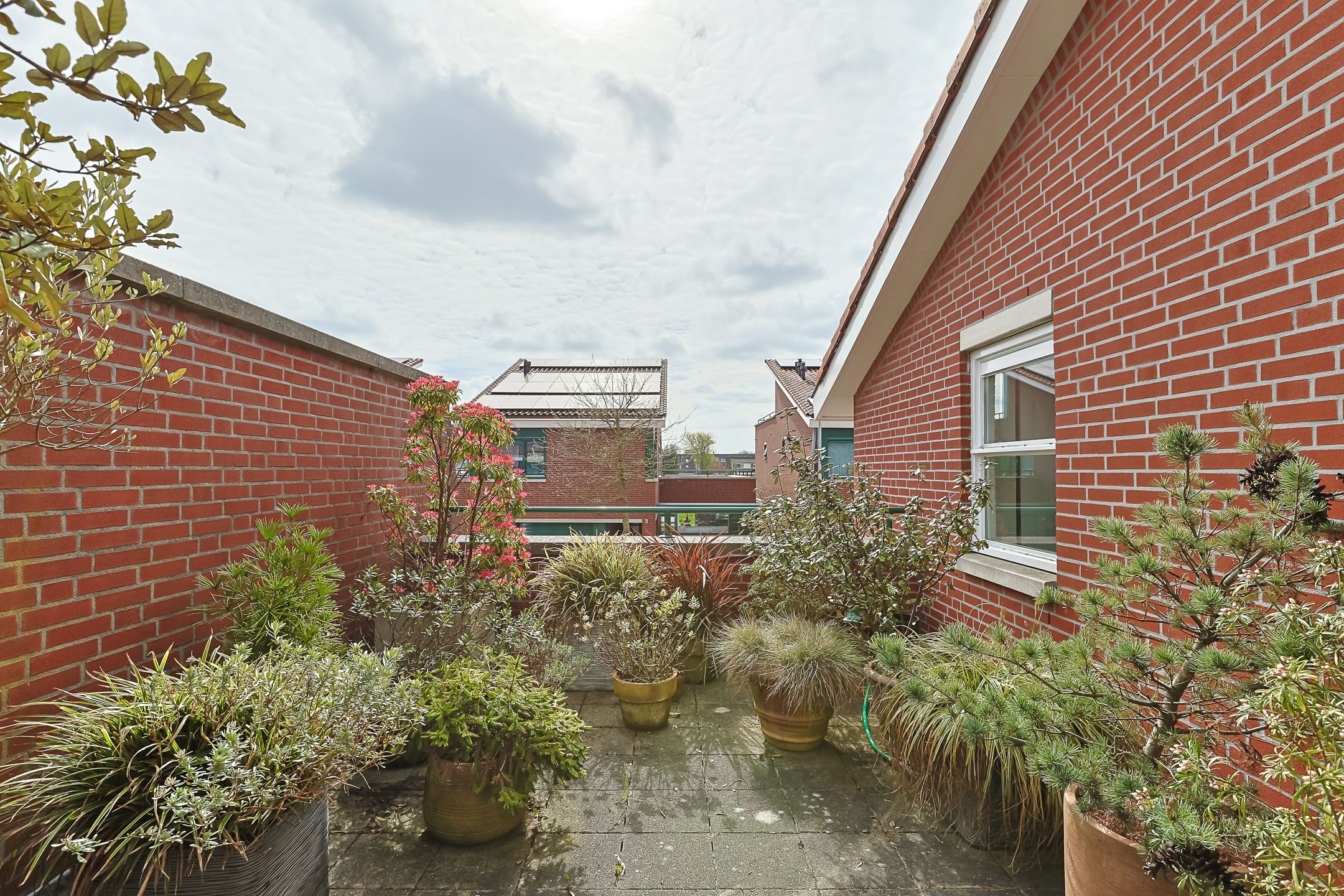 Foto 69 van Brugwacht 11