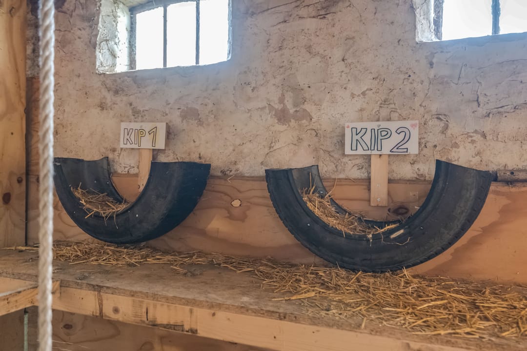 Foto 68 van Straatweg 1