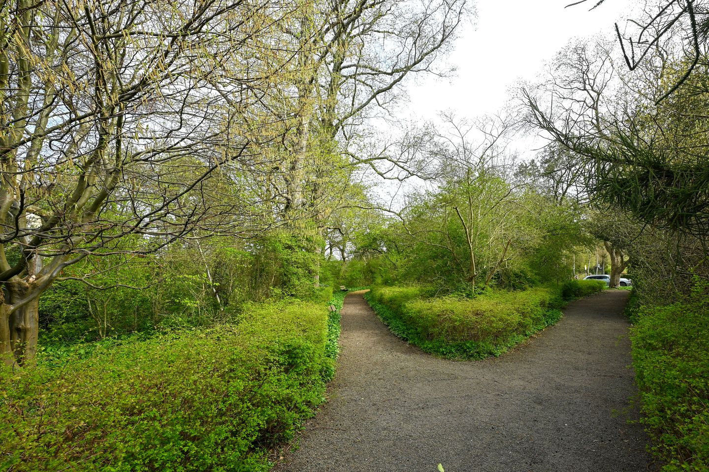 Foto 29 van Wolfert van Borsselenweg 112