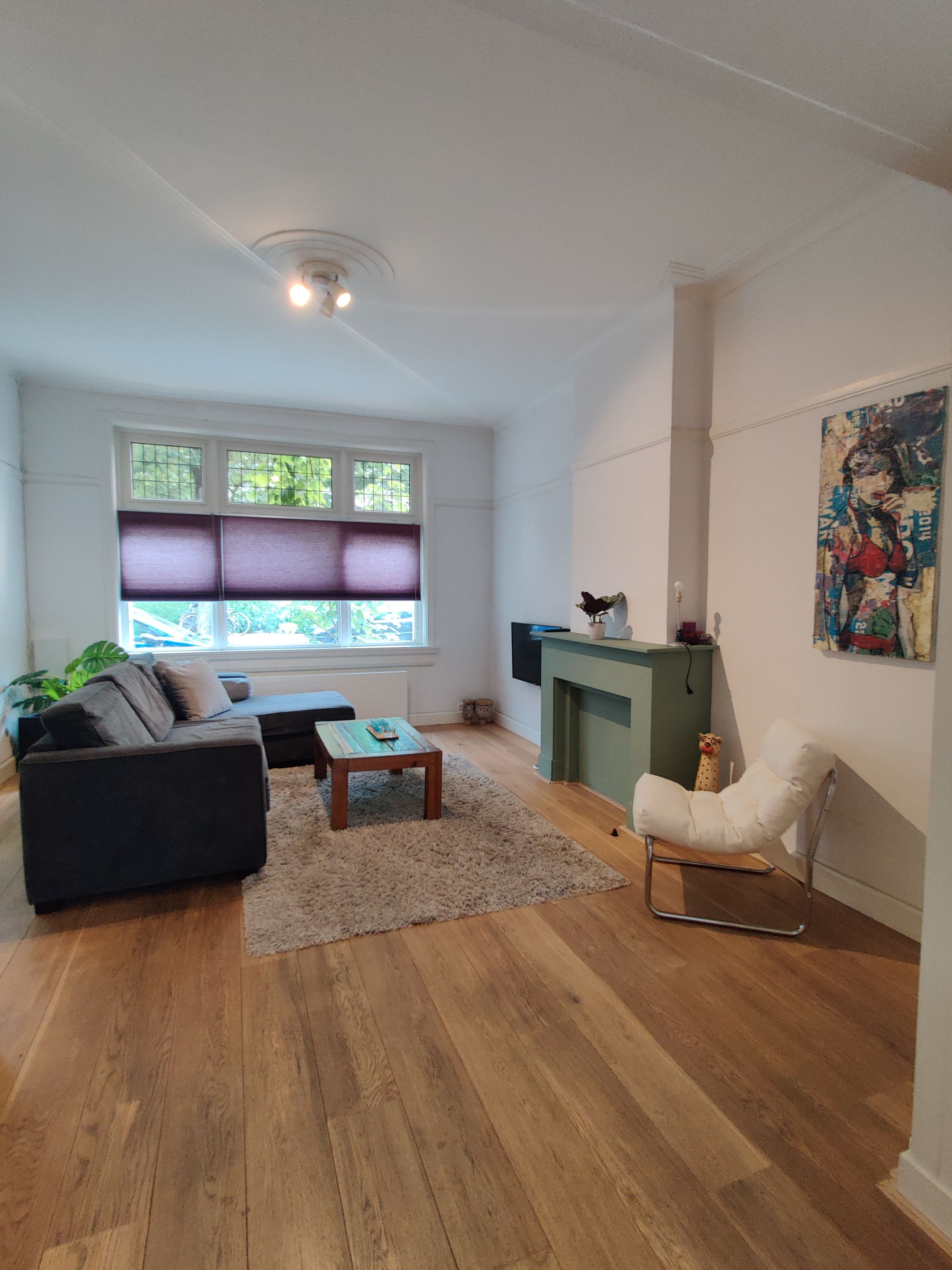 Foto 9 van Willem van Hornestraat 26