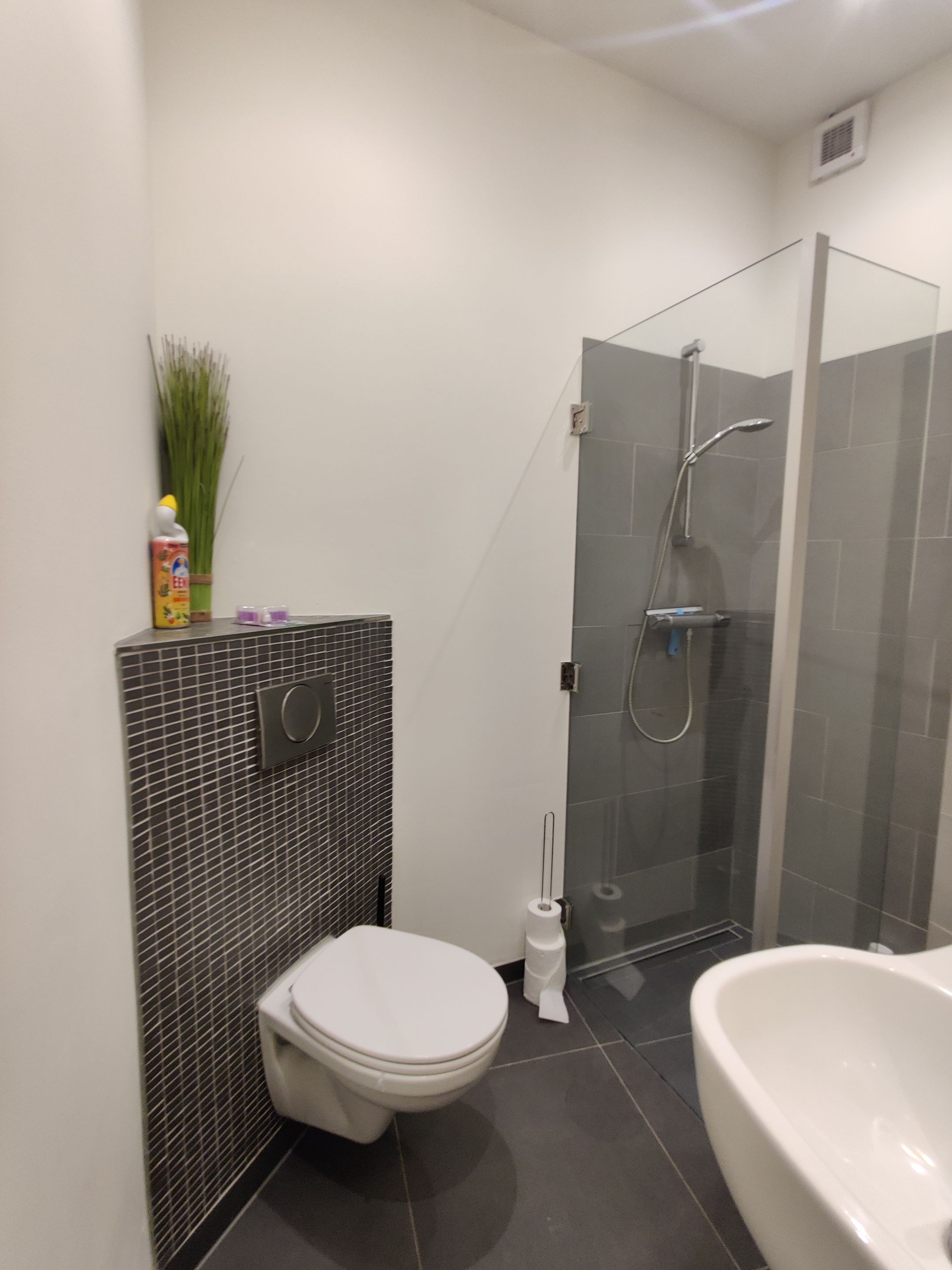 Foto 18 van Willem van Hornestraat 26