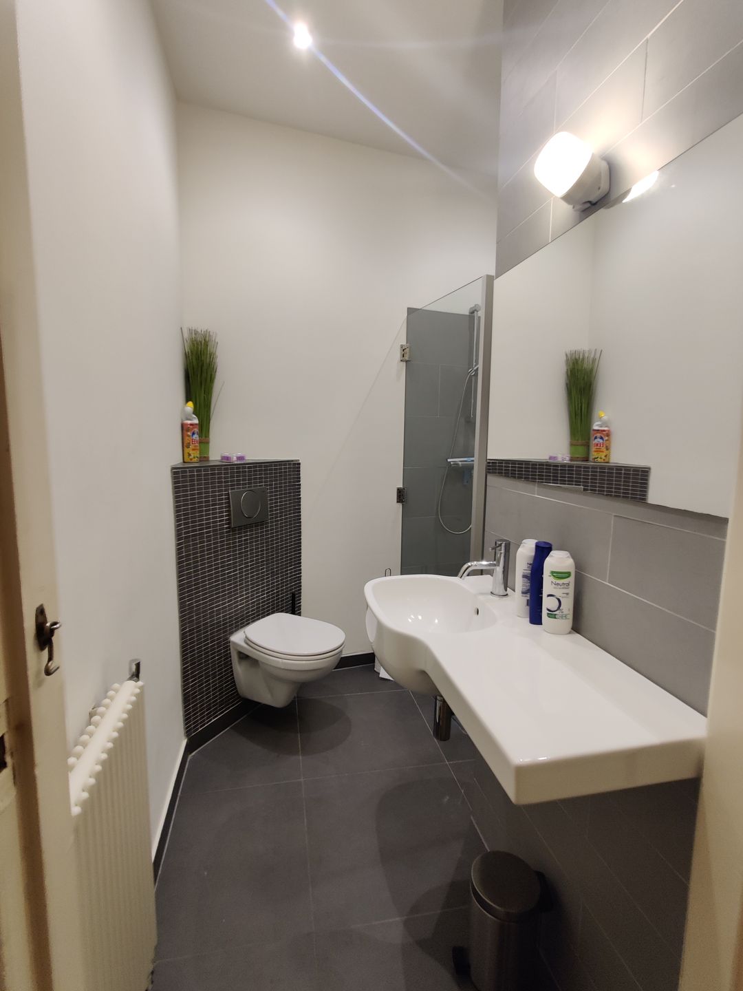 Foto 17 van Willem van Hornestraat 26