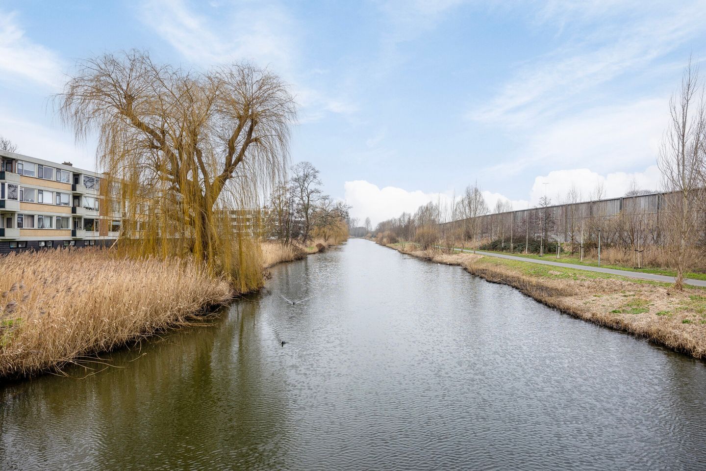 Foto 34 van van Viandenstraat 79