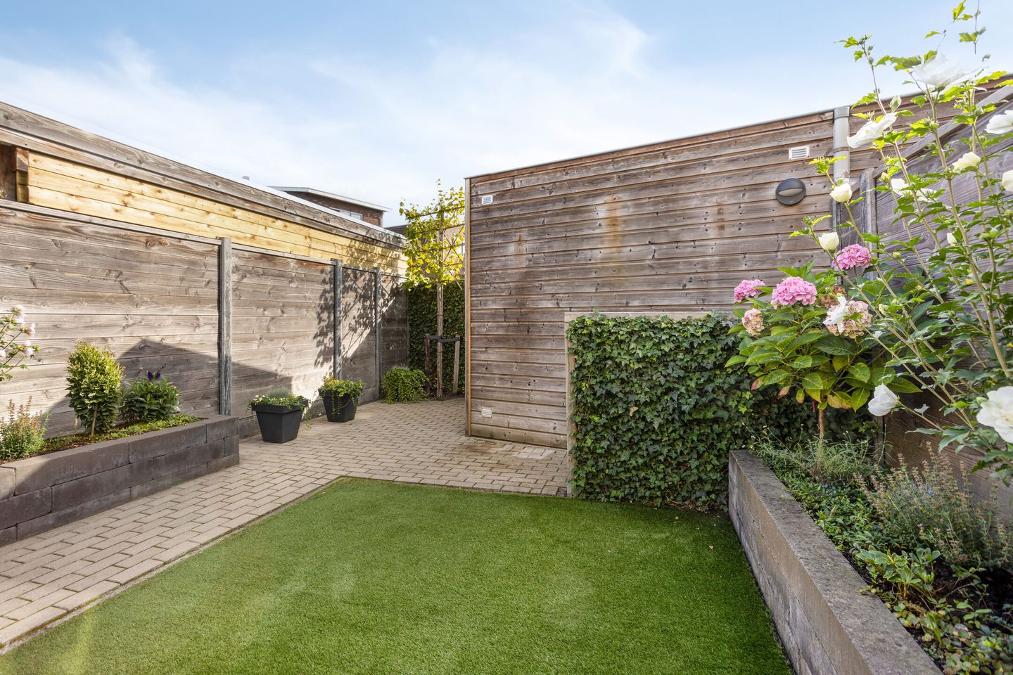 Photo 20 of Duifkruid 71